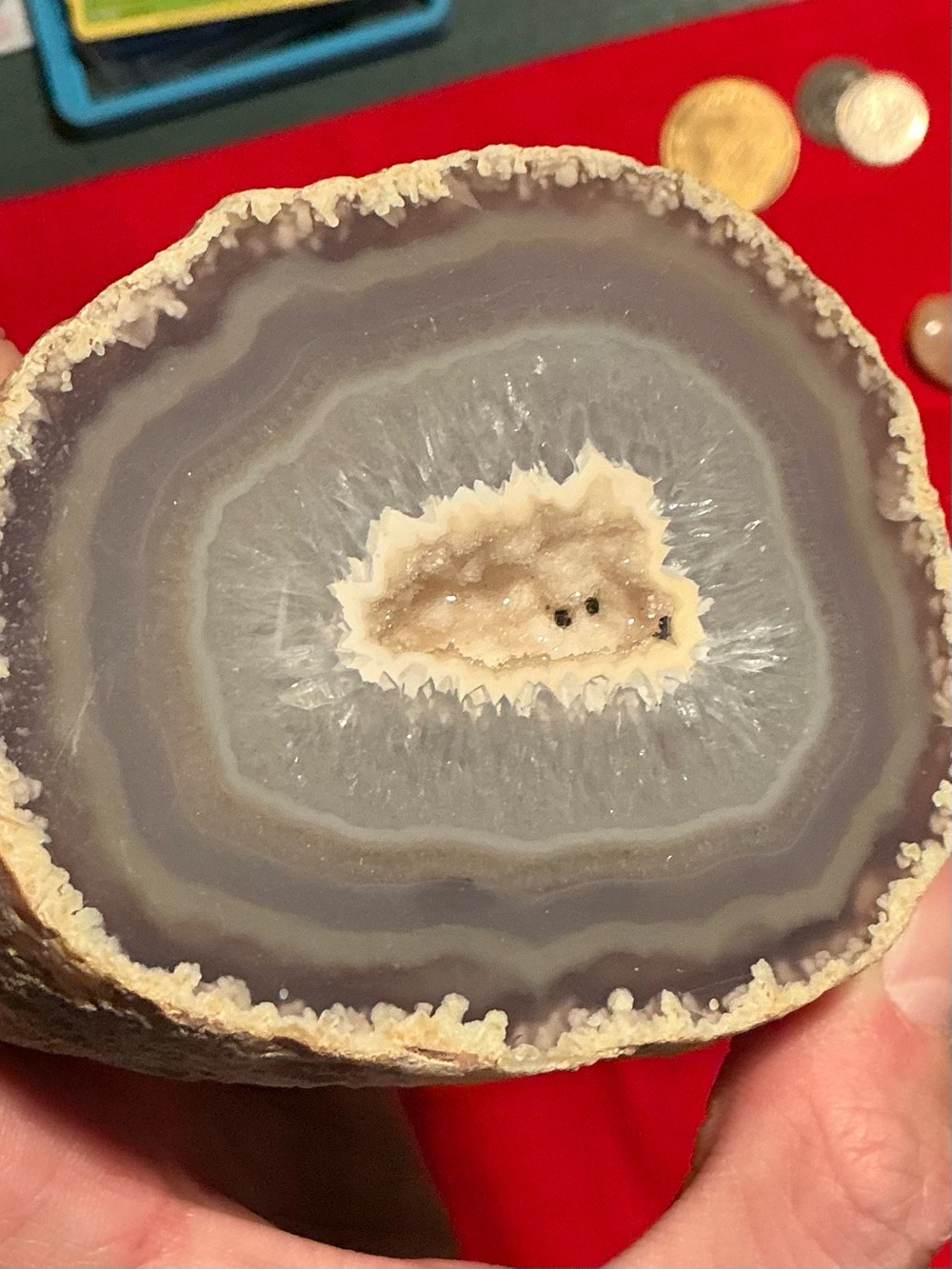 Gray and Cream Agate Geode Decorative Accent